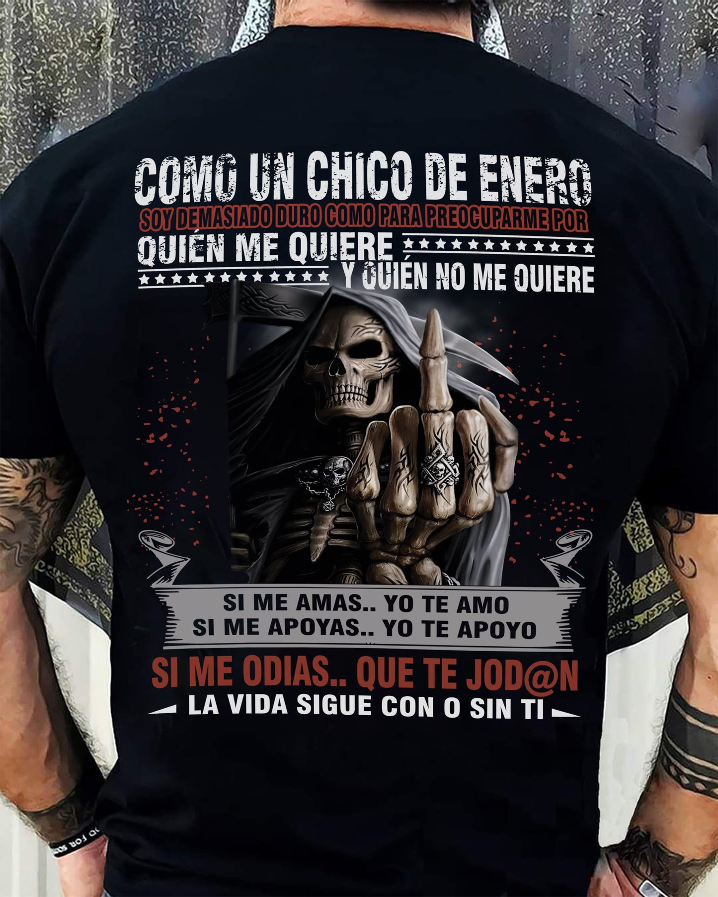 ENERO - COMO UN CHICO DE ENERO - LUNA01sp (SKU08-73-01)