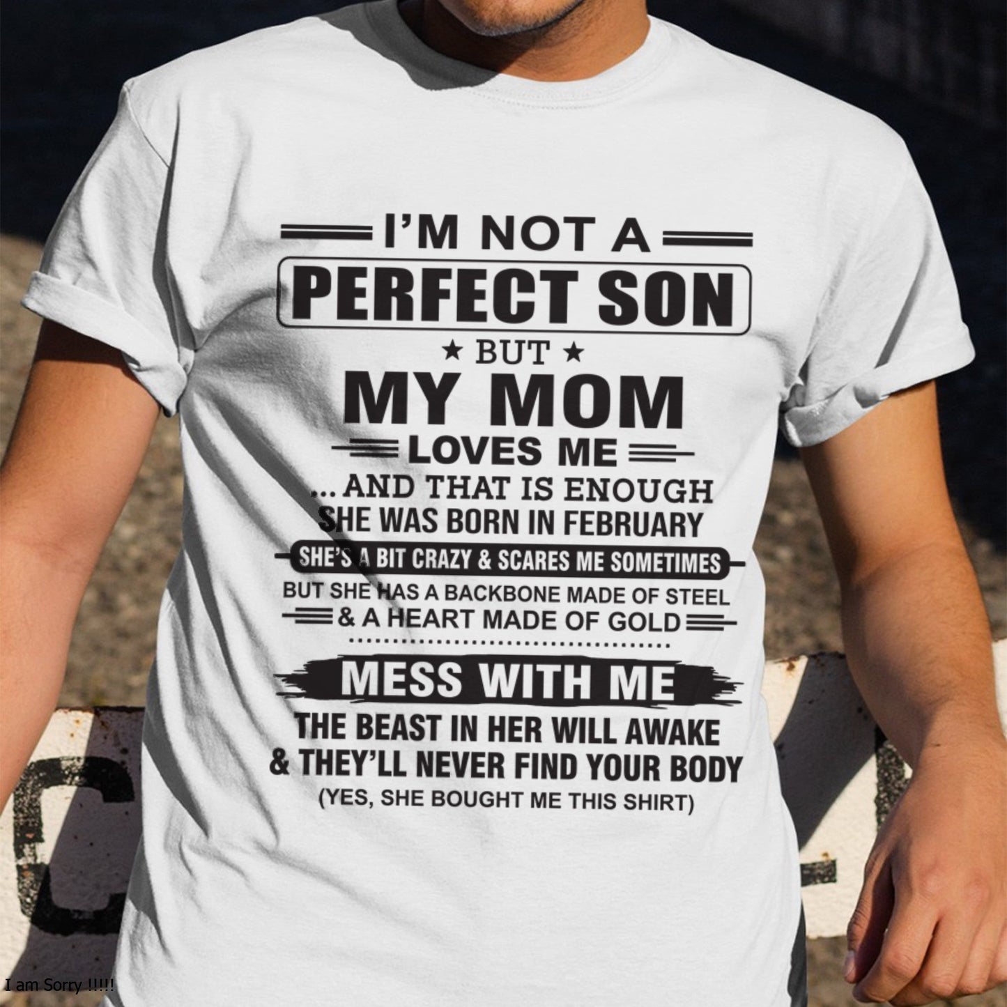 February - "I'M NOT A PERFECT SON BUT MY MOM LOVES ME" - Birthday Gift From February Mom / Woman - LUNA02 (SKU10-147-02)