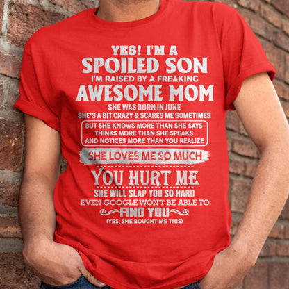 June - Awesome Mom - Perfect Gift For Spoiled Son From Mom - LUNA06 (SKU05-47-06)