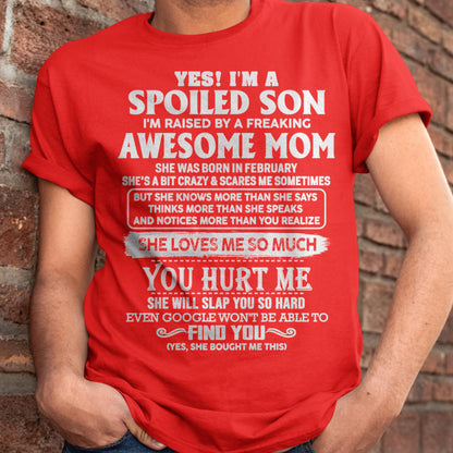 February - Awesome Mom - Perfect Gift For Your Spoiled Son From Mom - LUNA02 (SKU05-47-02)