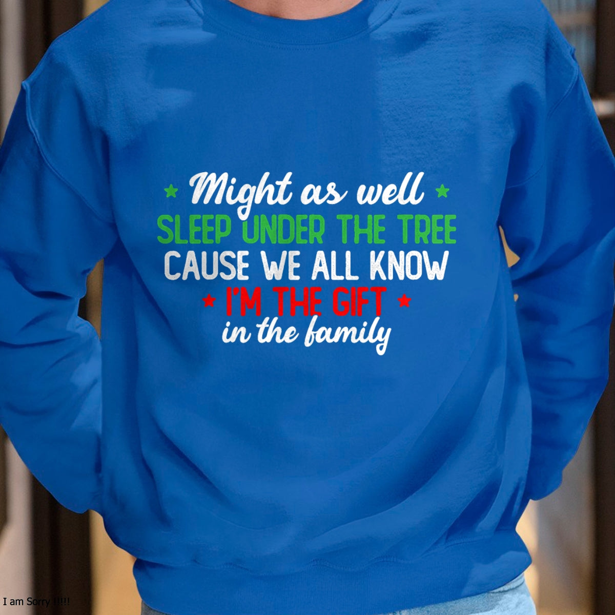 Christmas Humor Men Women Favorite Person Funny Christmas T-Shirt - Christmas Unisex T-Shirt/Hoodie/Sweatshirt - HNDS00 (SKU-T-CHRISTMAS-2512A)