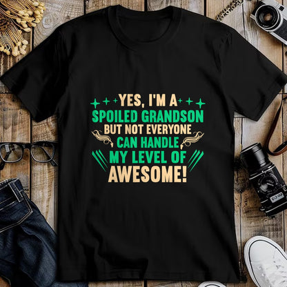 Best Grandma Shirt, Proud Grandma Unisex T-Shirt/Hoodie/Sweatshirt HLT00 - Favorite Funny Grandparents Grandma Spoiled Grandson T-Shirt