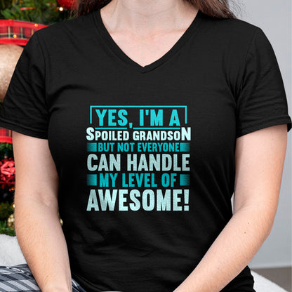 Best Grandma Shirt, Proud Grandma Unisex T-Shirt/Hoodie/Sweatshirt HLT00 - Grandma Spoiled Grandson Grandparents T-Shirt