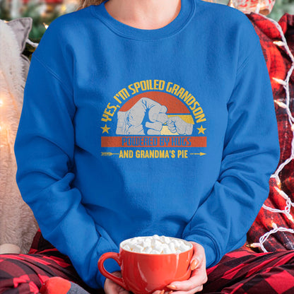 Best Grandma Shirt, Proud Grandma Unisex T-Shirt/Hoodie/Sweatshirt HLT00 - Funny Grandma Spoiled Grandson Grandparents T-Shirt