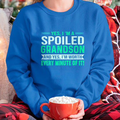 Best Grandma Shirt, Proud Grandma Unisex T-Shirt/Hoodie/Sweatshirt HLT00 - Favorite Spoiled Grandson Birthday T-Shirt