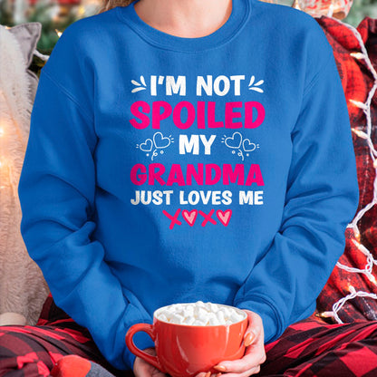 Best Grandma Shirt, Proud Grandma Unisex T-Shirt/Hoodie/Sweatshirt HLT00 - I'm Not Spoiled My Grandma Just Loves Me Granddaughter Girls T-Shirt
