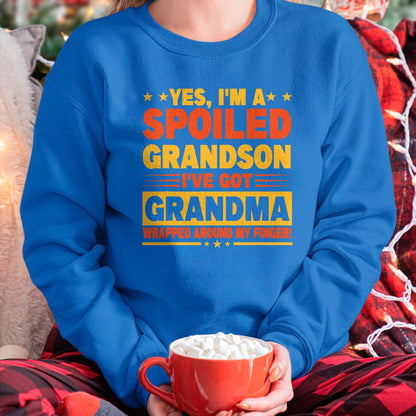Best Grandma Shirt, Proud Grandma Unisex T-Shirt/Hoodie/Sweatshirt HLT00 - Funny Grandparents Grandpa Grandma Spoiled Grandson T-Shirt