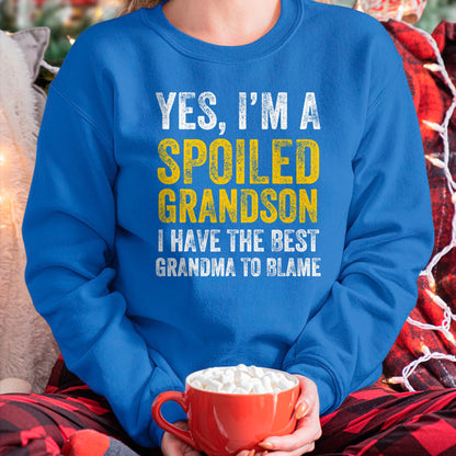 Best Grandma Shirt, Proud Grandma Unisex T-Shirt/Hoodie/Sweatshirt HLT00 - Yes I'm a Spoiled Grandson T-Shirt