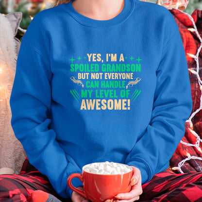 Best Grandma Shirt, Proud Grandma Unisex T-Shirt/Hoodie/Sweatshirt HLT00 - Favorite Funny Grandparents Grandma Spoiled Grandson T-Shirt