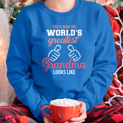 Best Grandma Shirt, Proud Grandma Unisex T-Shirt/Hoodie/Sweatshirt HLT00 - This is what world's greatest grandma looks like T-Shirt (1)